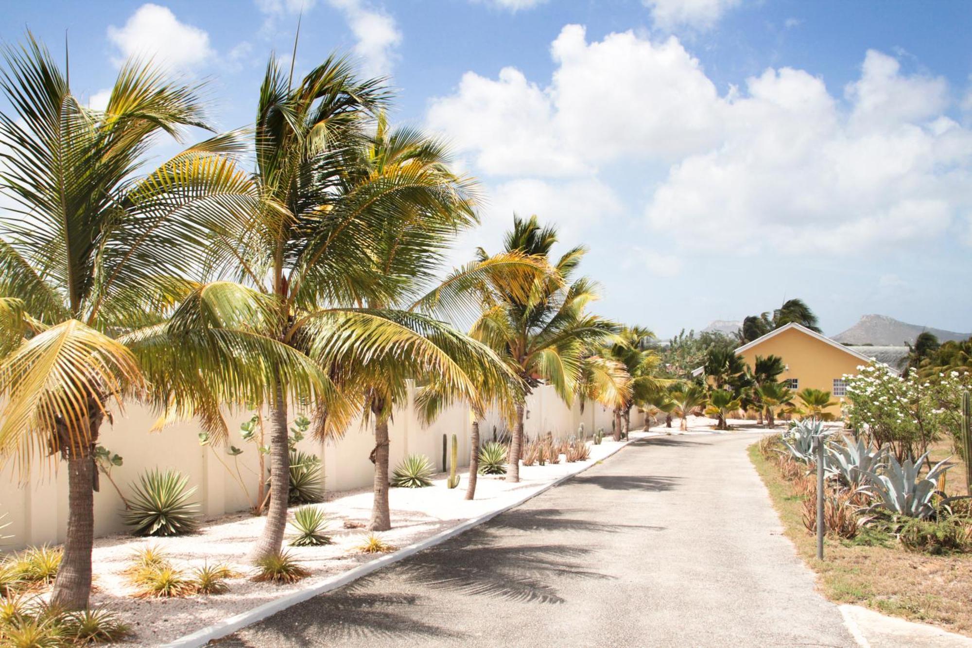 Abc Lodges Curacao 威廉斯塔德 外观 照片